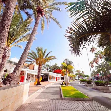 Ocean View! Parque Americas! Heated Pool, Ac! La05 * Плая-де-лас-Америкас